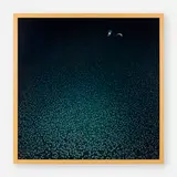 Siebren Versteeg, Robot Drowning in Nanobots, 2005, Duratran in lightbox