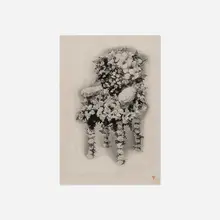 Dorothea Tanning, The Intersections of Constant Desire, 1947, found printed image