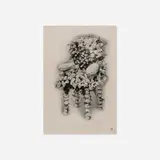Dorothea Tanning, The Intersections of Constant Desire, 1947, found printed image