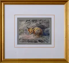 A.G. Schleich, Sleeping Fox, Illegible siganture and dated "50." Watercolor on paper
