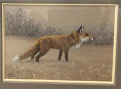 Barbara Oelke, Pensive Fox, 2005, Colored pencil, india ink on tinted paper