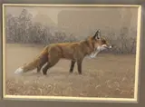 Barbara Oelke, Pensive Fox, 2005, Colored pencil, india ink on tinted paper