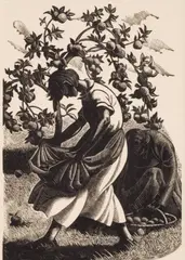 Clare Leighton, A Lapfull of Windfalls, 1935, Woodcut engraving on paper