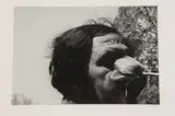 Judith Toplin, Untitled