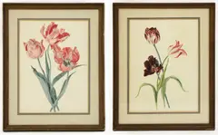 Nicole Hornby, Untitled, watercolour 39 x 28.5cm (2) The Trafford Gallery labels verso. .
