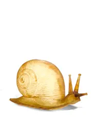 Illuminated Ghost Snail by Tony Duquette, offered Oct 2018