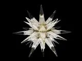 Charles J. Weinstein Company, Ceiling Light, clear and frosted glass molded glass, gilt-metal