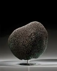 Harry Bertoia, Untitled (Bush Form), welded copper and bronze