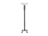 Edgar Brandt and Daum, a Stylish Art Deco Wrought Iron Floor Lamp with Acid-Etched Glass Shade, circa 1925, a Stylish Art Deco Wrought Iron Floor Lamp with Acid-Etched Glass Shade, circa 1925
