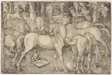 Hans Baldung Grien, A Group of Seven Horses, 1534, Woodcut