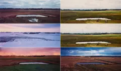 Thaddeus Holownia, Aus: Jolicure Pond Series, 1996-1999, Jeweils C-Print