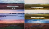 Thaddeus Holownia, Aus: Jolicure Pond Series, 1996-1999, Jeweils C-Print