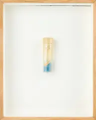 Joseph Cornell, Ohne Titel, 1971, Fragment eines Seesterns, gefärbter Sand und Papier in Plastikröhrchen