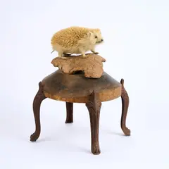 Daniel Spoerri, Ohne Titel, Igel auf Holzstück und Schemel