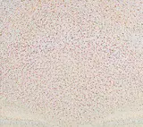Hermann-Josef Kuhna, "Lias", 2003, Öl auf Leinwand