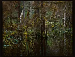 Steven Ketchum, Kadashaw II (Blackwater) (Aus: Columbus. In Search of a New Tomorrow), 1986, Cibachrome