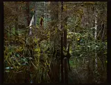 Steven Ketchum, Kadashaw II (Blackwater) (Aus: Columbus. In Search of a New Tomorrow), 1986, Cibachrome