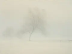 Conrad Sevens, Baum im Schnee, Öl auf Leinwand