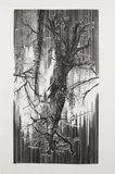 Yehudit Sasportas, Ohne Titel, 2008, Linolschnitt auf Velin
