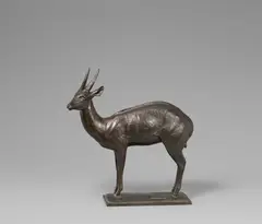 Auguste Trémont, Guib Antilope, Bronze, dunkelbraun patiniert