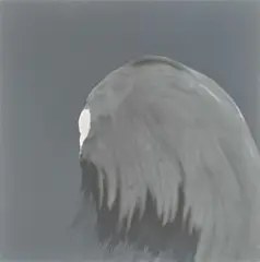 Daniel Lergon, Ohne Titel, 2009, Lack auf retroreflexivem Gewebe