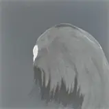Daniel Lergon, Ohne Titel, 2009, Lack auf retroreflexivem Gewebe