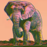 African Elephant. Aus: Endangered Species by Andy Warhol, 1983, Farbserigrafie auf Lenox Museumskarton, sold Jun 2023
