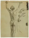 Otto Greiner, Aktstudie eines Knaben von hinten sowie Handstudien, 1892, Schwarze Kreide, weiß gehöht auf Papier