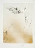 Sorcières au balai (Aus: Faust) by Salvador Dalí, 1969, Radierung, handkoloriert mit Goldfarbe, auf Japan, sold Oct 2023