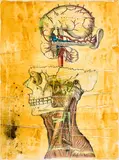 Zhivago Duncan, "Nobody Seems to understand what goes on in the Head of u man (Study)", 2011, Mischtechnik auf Leinwand
