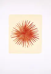 Norbert Schwontkowski, Stern, 2000, Farblithografie auf Velin