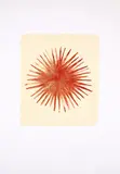 Norbert Schwontkowski, Stern, 2000, Farblithografie auf Velin
