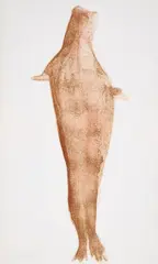 Robbe by Joseph Beuys, 1981, Farblithografie auf Bütten, sold Nov 2023