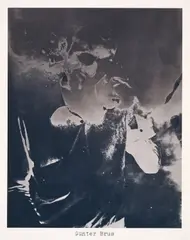 Günter Brus by Sigmar Polke, 1973, Offsetlithografie auf leichtem Karton, sold Nov 2023