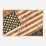 Shepard Fairey, Flag 1