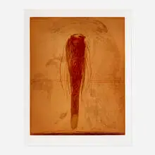 Nathan Oliveira, Bird, 2007, etching and aquatint in colors