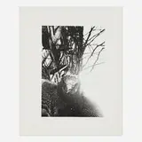 Ralph Gibson, Untitled (bird and trees)