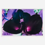 Marc Quinn, At the Far Edges of the Universe 06