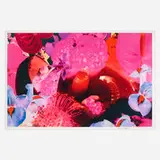 Marc Quinn, At the Far Edges of the Universe 08