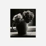 Irene Fay, Two Roses, 1972, gelatin silver print