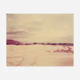 Richard Misrach, BF 1-81 #105