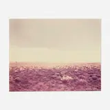 Richard Misrach, BF 2-81