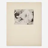 Minor White, Three Peonies, Pavilion, New York