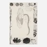 Terry Winters, Marginalia, 1988, lithograph in colors