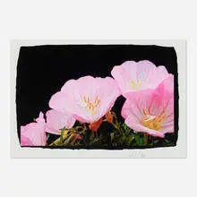 Vincent Versace, Pink Flower, archival inkjet print