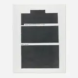 Jenny Holzer, These Enhanced Techniques (from the Top Secret series)
