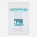 Douglas Garofalo, Electronic Cemetery Pier, 2000, inkjet print and pencil