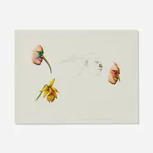 Notations by Robert Lostutter, 1984, watercolor and pencil on artist's board, sold Jul 2023