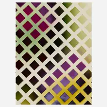 Sam Falls, Untitled (Lattice, Large, 7), 2013, acrylic on c-print