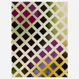 Sam Falls, Untitled (Lattice, Large, 7), 2013, acrylic on c-print